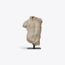 Load image into Gallery viewer, Small Maximillian Torso