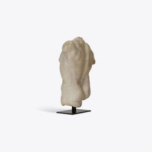 Load image into Gallery viewer, Small Maximillian Torso