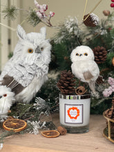 Load image into Gallery viewer, Spiced Orange