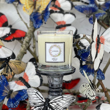 Load image into Gallery viewer, Lavender