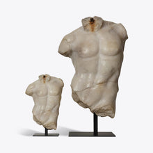 Load image into Gallery viewer, Large Maximillian Torso
