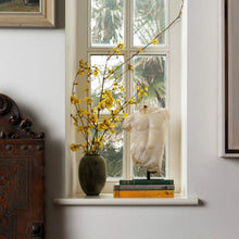 Load image into Gallery viewer, Small Maximillian Torso
