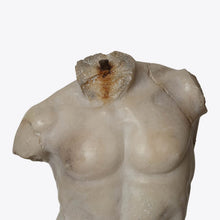 Load image into Gallery viewer, Large Maximillian Torso

