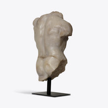 Load image into Gallery viewer, Large Maximillian Torso
