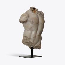 Load image into Gallery viewer, Large Maximillian Torso
