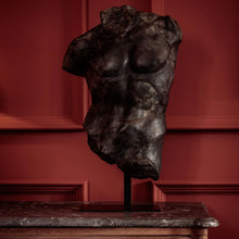 Load image into Gallery viewer, Large Bronze Maximillian Torso
