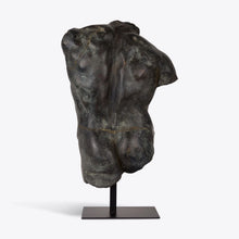 Load image into Gallery viewer, Large Bronze Maximillian Torso
