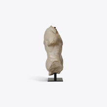 Load image into Gallery viewer, Small Maximillian Torso
