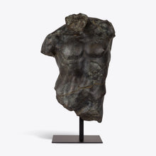 Load image into Gallery viewer, Large Bronze Maximillian Torso
