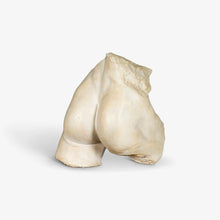 Load image into Gallery viewer, Bottocks sculpture
