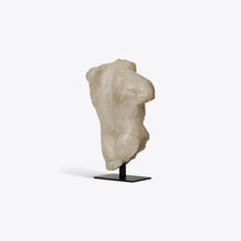 Load image into Gallery viewer, Small Maximillian Torso
