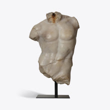 Load image into Gallery viewer, Large Maximillian Torso
