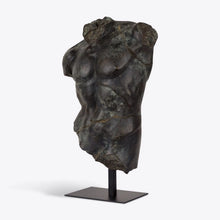 Load image into Gallery viewer, Large Bronze Maximillian Torso
