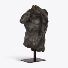 Load image into Gallery viewer, Large Bronze Maximillian Torso
