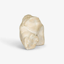 Load image into Gallery viewer, Bottocks sculpture
