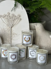 Load image into Gallery viewer, Fig Travel Candle
