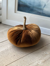 Load image into Gallery viewer, Brown Velvet Pumpkin
