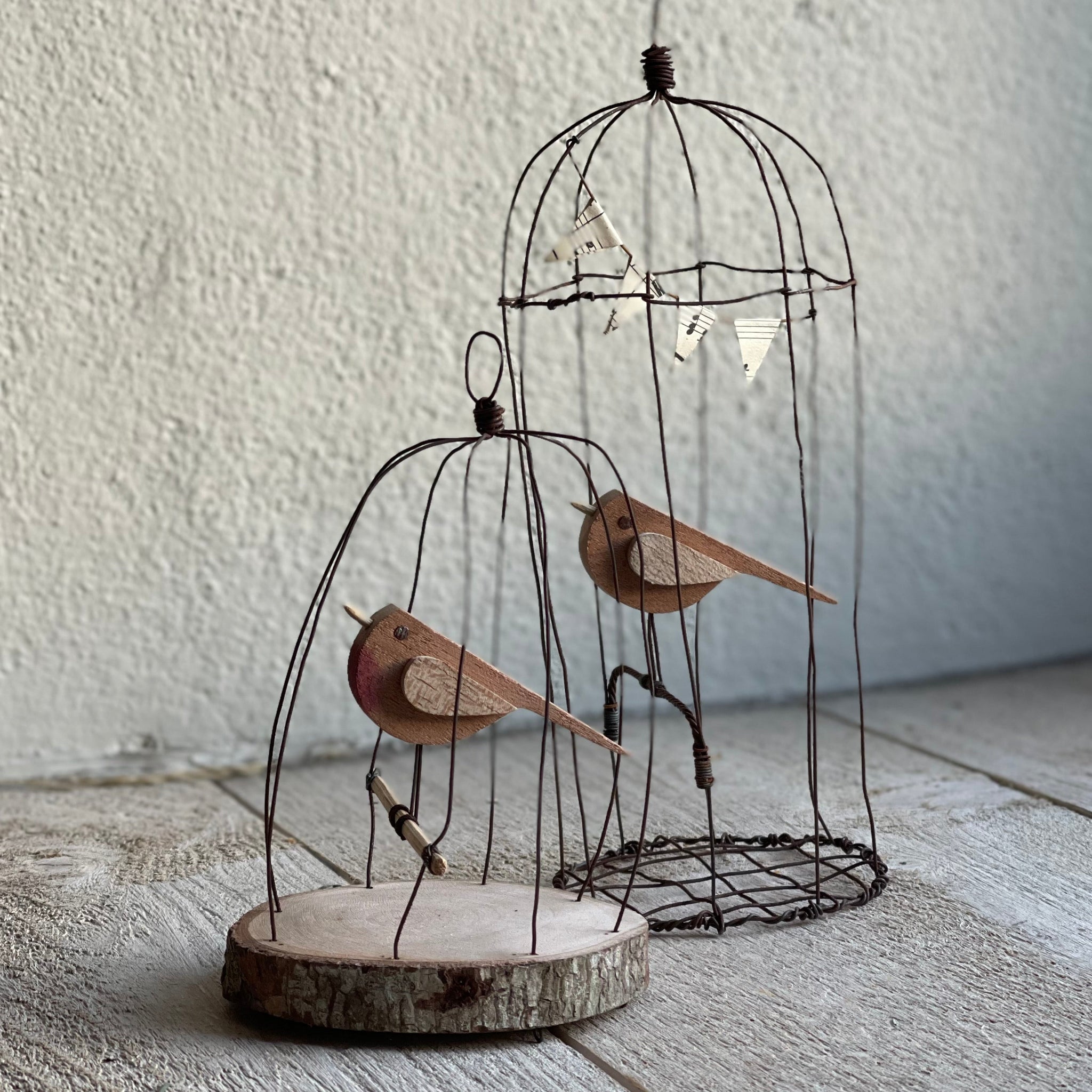 Bird cage discount