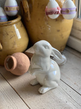 Load image into Gallery viewer, Easter bunny white
