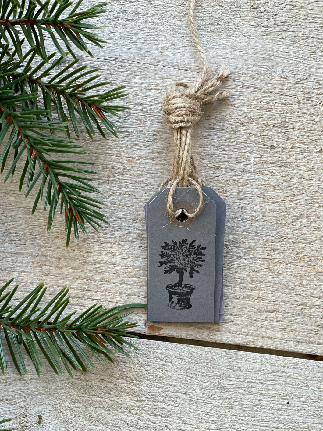 Olive tree gift tags