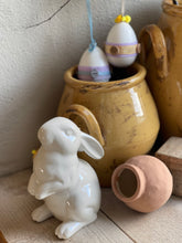 Load image into Gallery viewer, Easter bunny white
